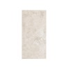 AZULEJO Y PISO SG CESANTONI 45X90 FIORE [1.63 MT2] CAJA