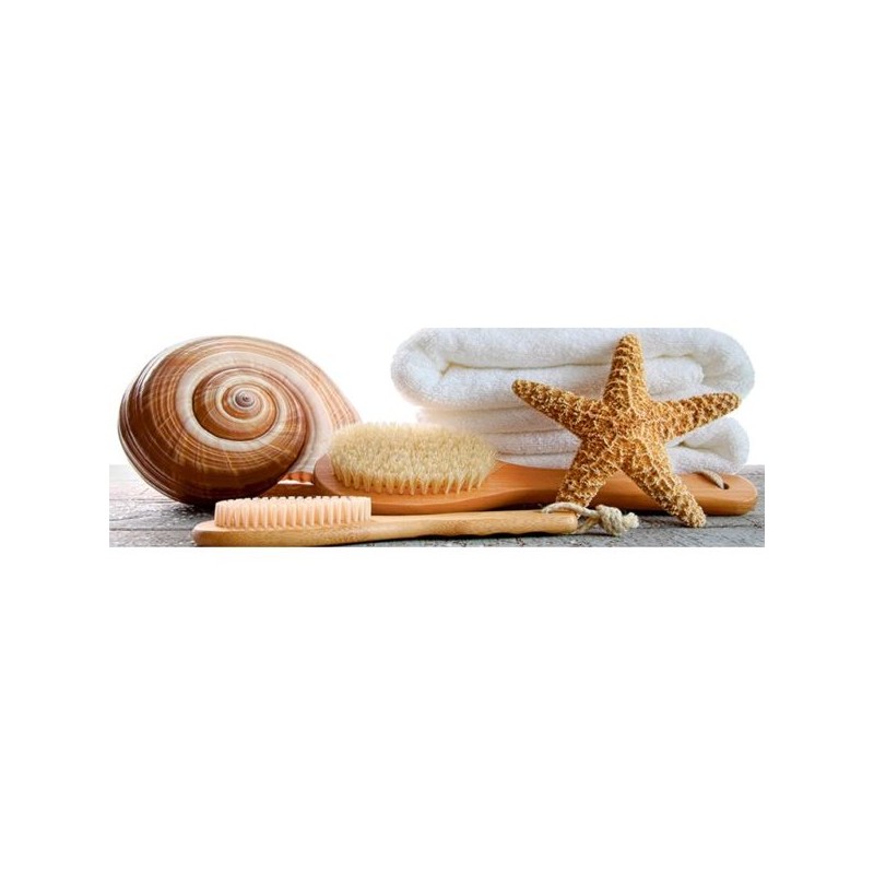 DECORADO TILES 15X45 NAUTILUS
