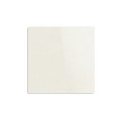 LOSETA CESANTONI RECT 61X61 ARANZA BRILLANTE[1.48 M2] CAJA