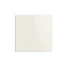 LOSETA CESANTONI RECT 61X61 ARANZA BRILLANTE[1.48 M2] CAJA