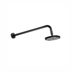 REGADERA HELVEX C/BRAZO Y CHAPETON PREMIER CHORRO FIJO PLATO 5X8? EBANO